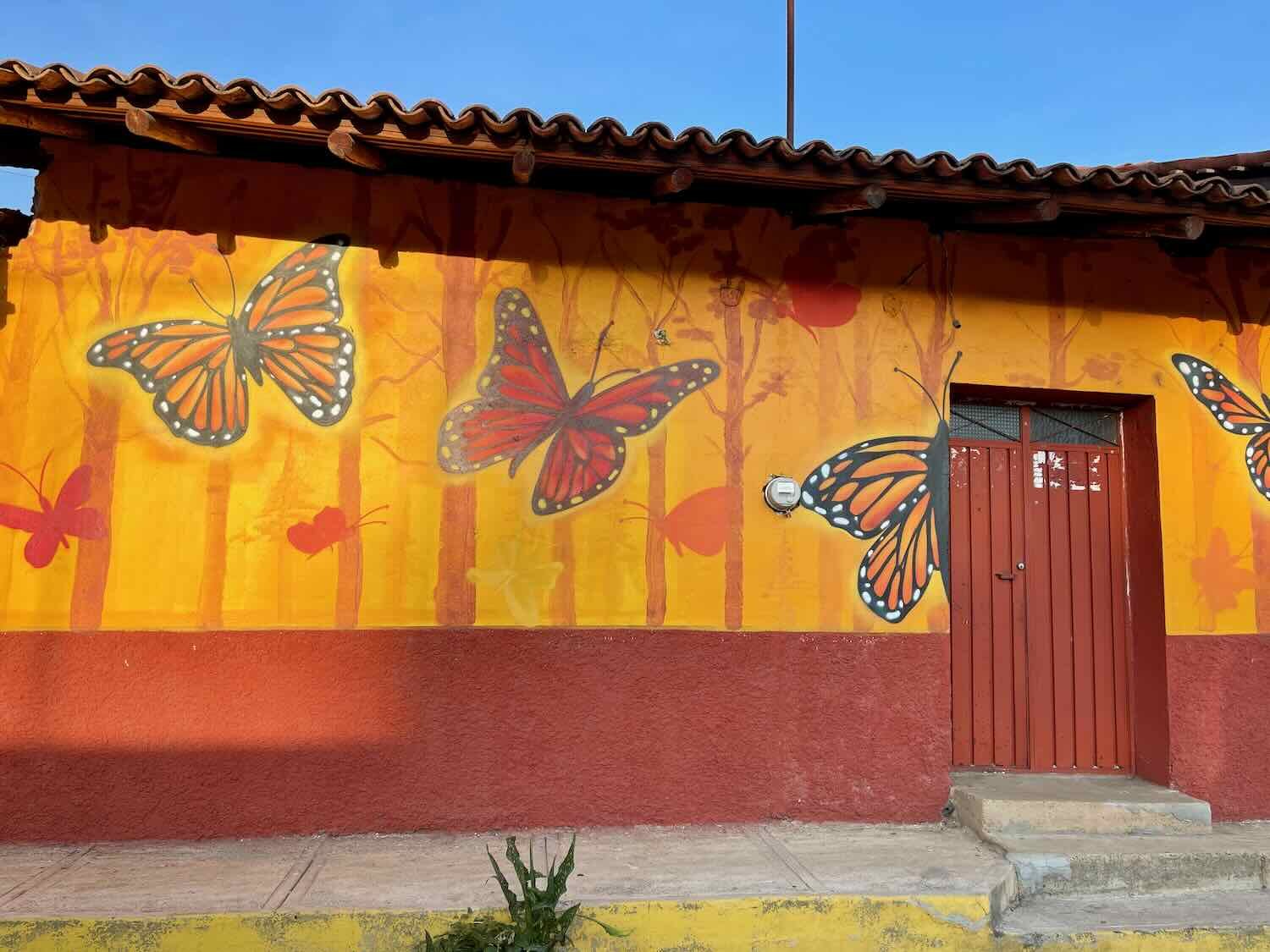 Monarchs in golden light