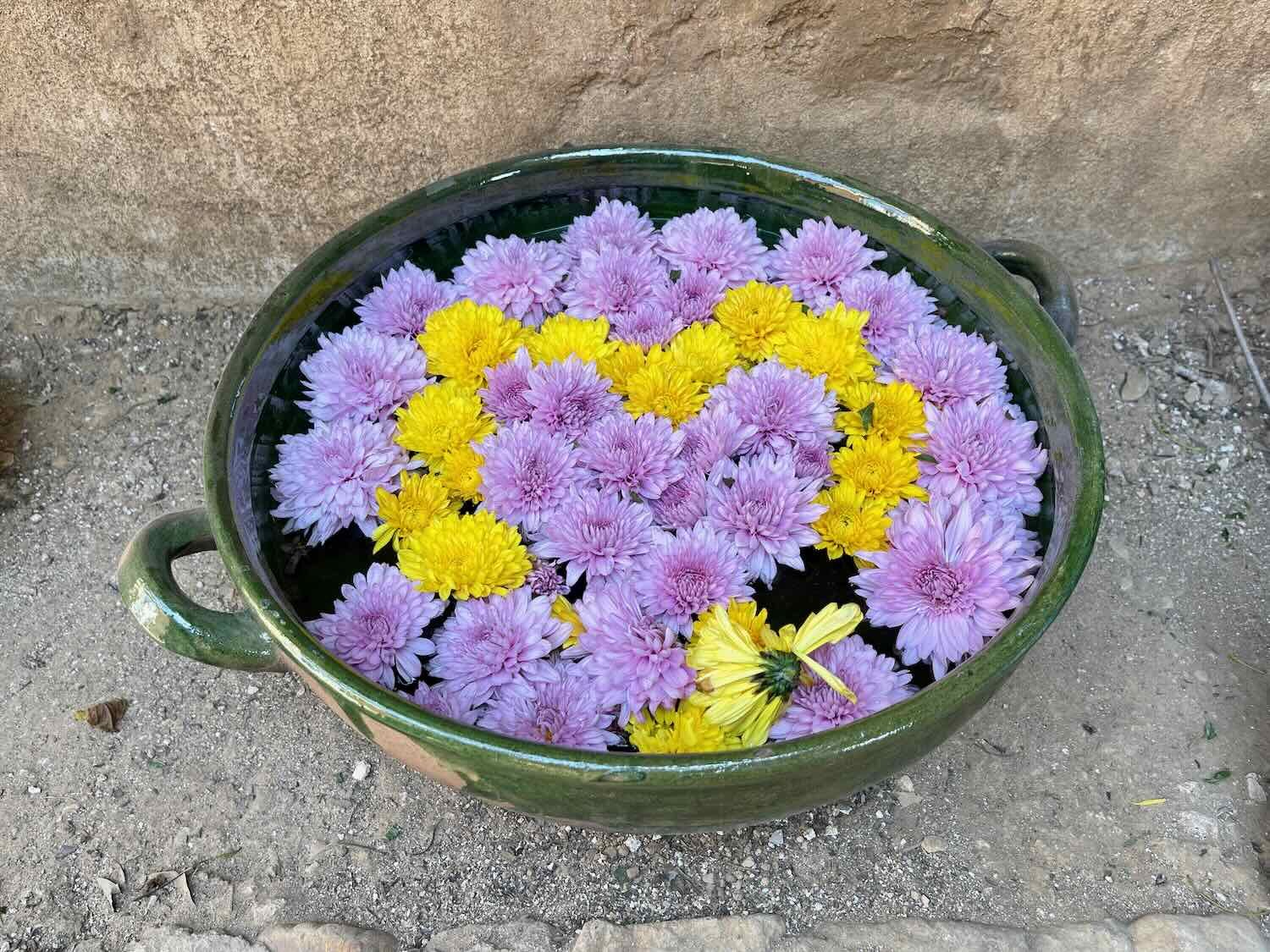 Seasonal mums in a traditional, green-glaze Aztompa pottery bowl