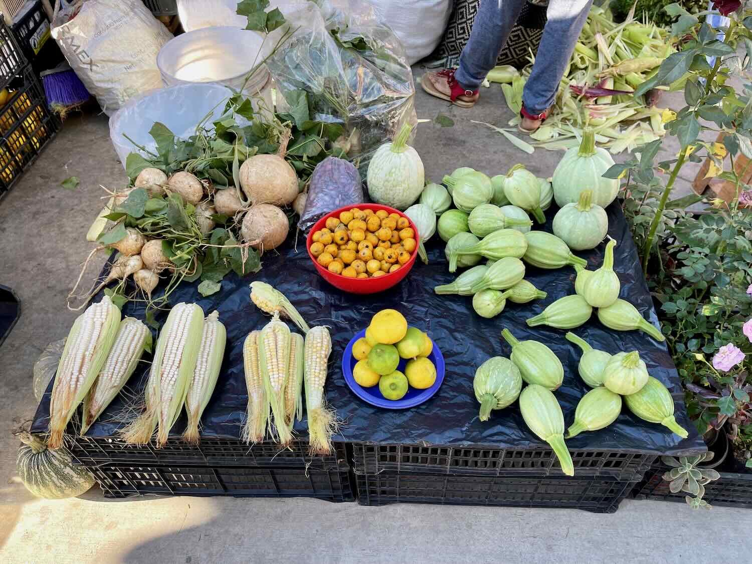 A tidy display of veggies