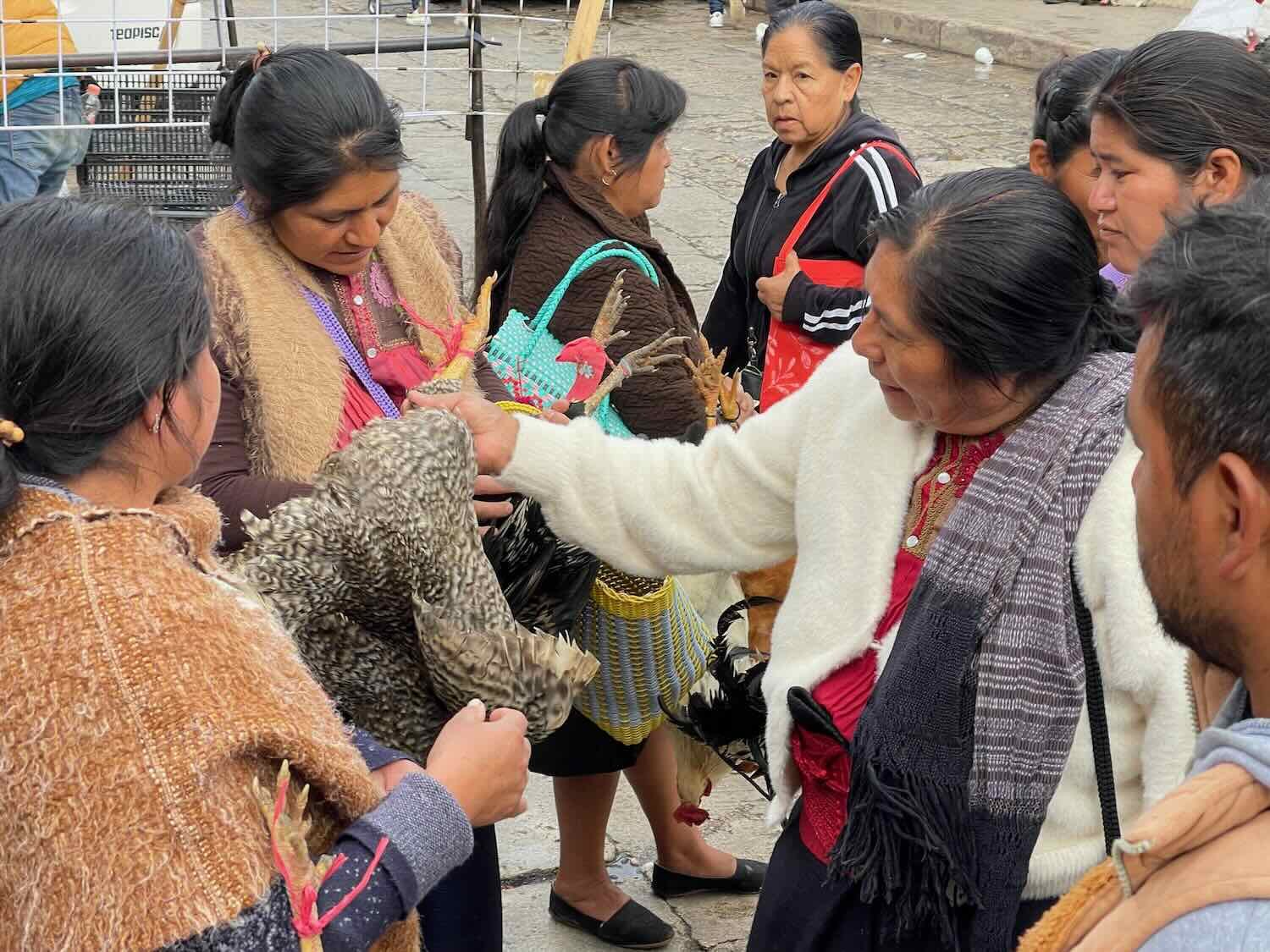 Live chickens are sold on the street, either for laying eggs or for use in religious ceremonies