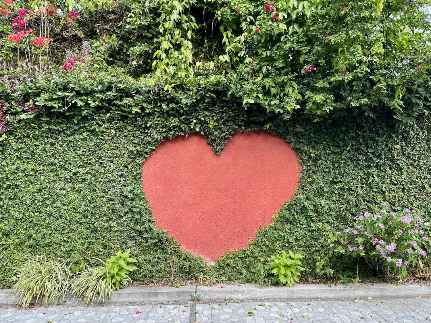 The vines were cut away to reveal the wall behind, in the shape of a heart