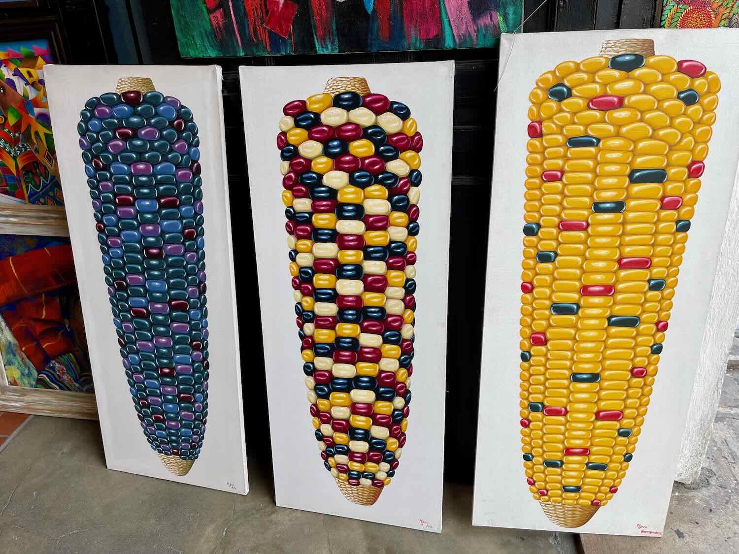 The many faces of corn
