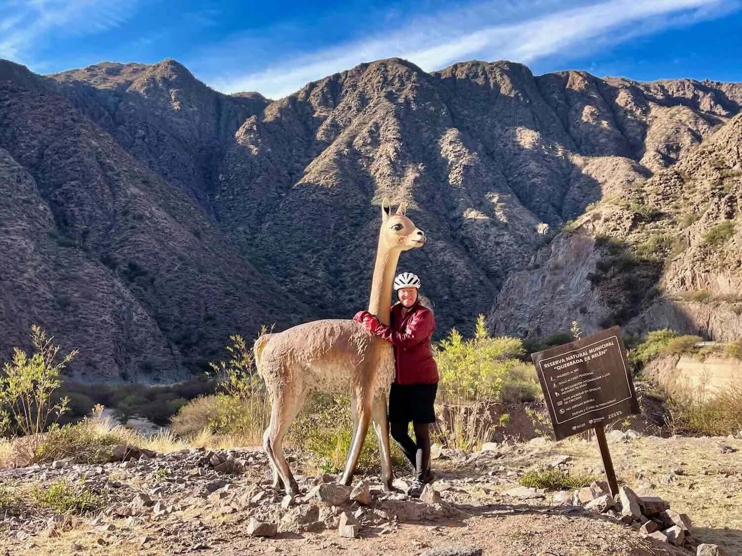 Guanaco. Quebrada de Belén Nature Reserve.