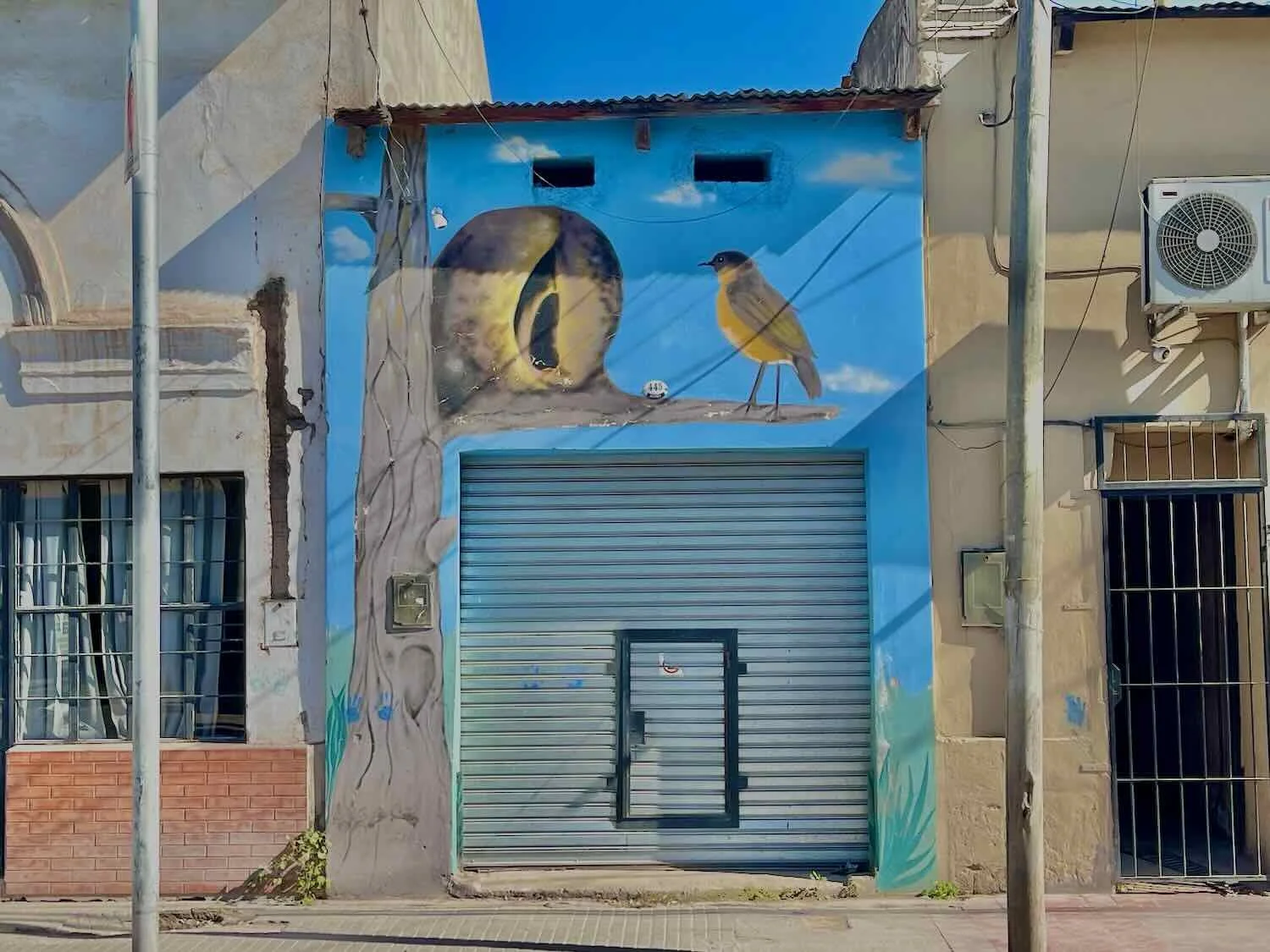 Painting of a Rufous Hornero bird with its spherical nest. Hornero means 'ovenbird,' because their mud nests look like old-fashioned clay ovens.
