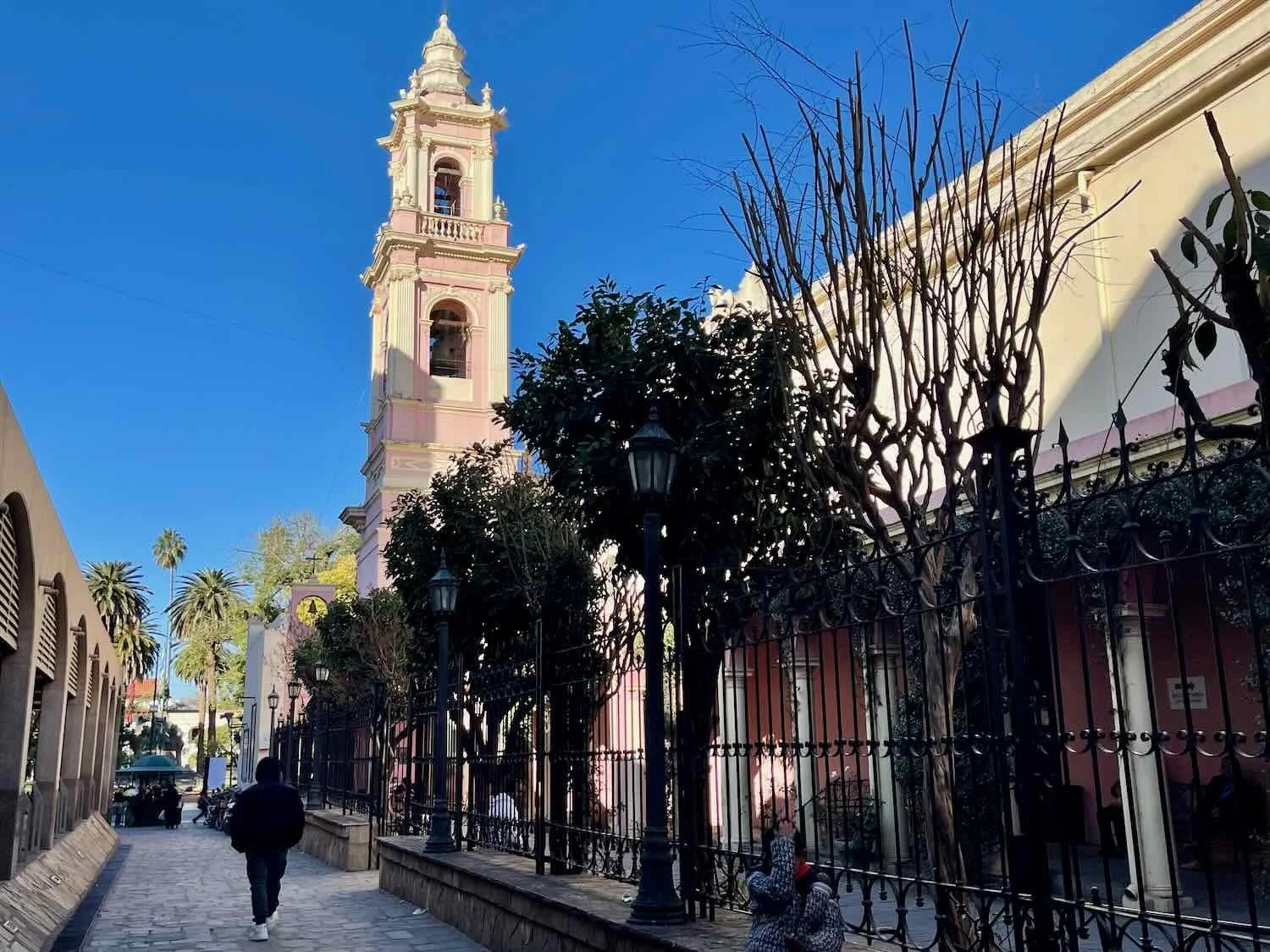 The pink bell tower of the Salta Cathedral