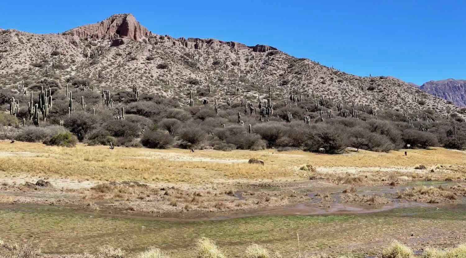 Humahuaca Ravine