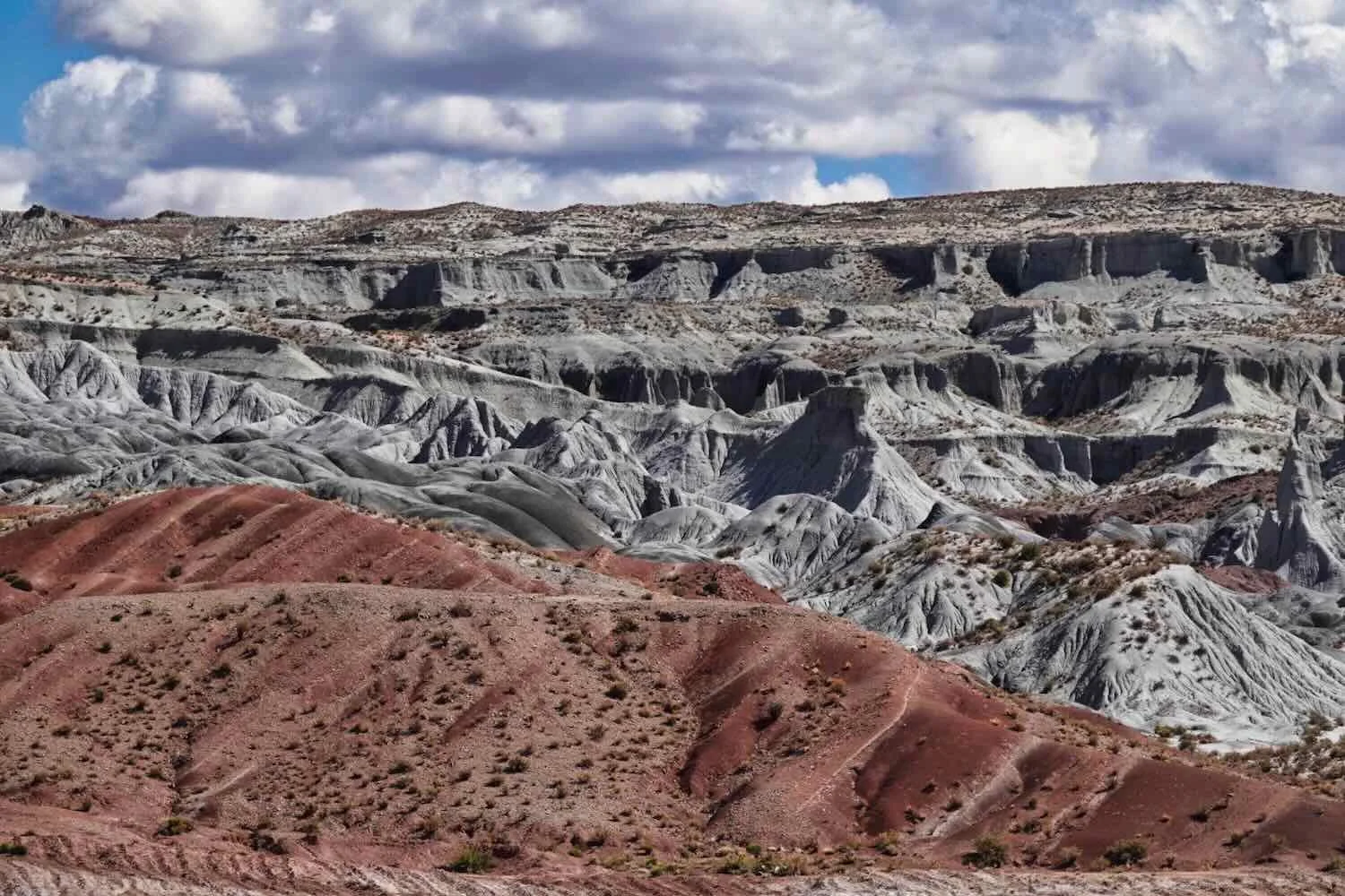 The contrasting colors of the different types of sandstone made for stunning scenery