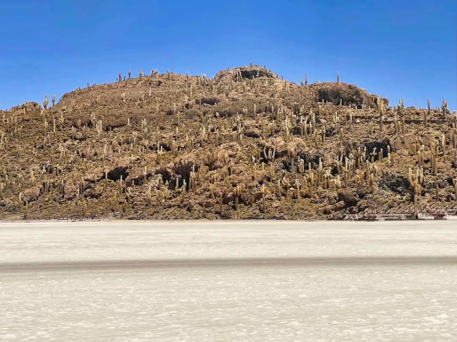 Incahuasi Island surrounded by salt flats