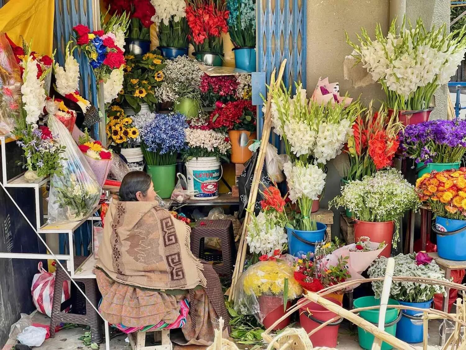 Fresh flowers were abundant in all of Bolivia's markets. With the Day of the Dead approaching, flower sales were booming.