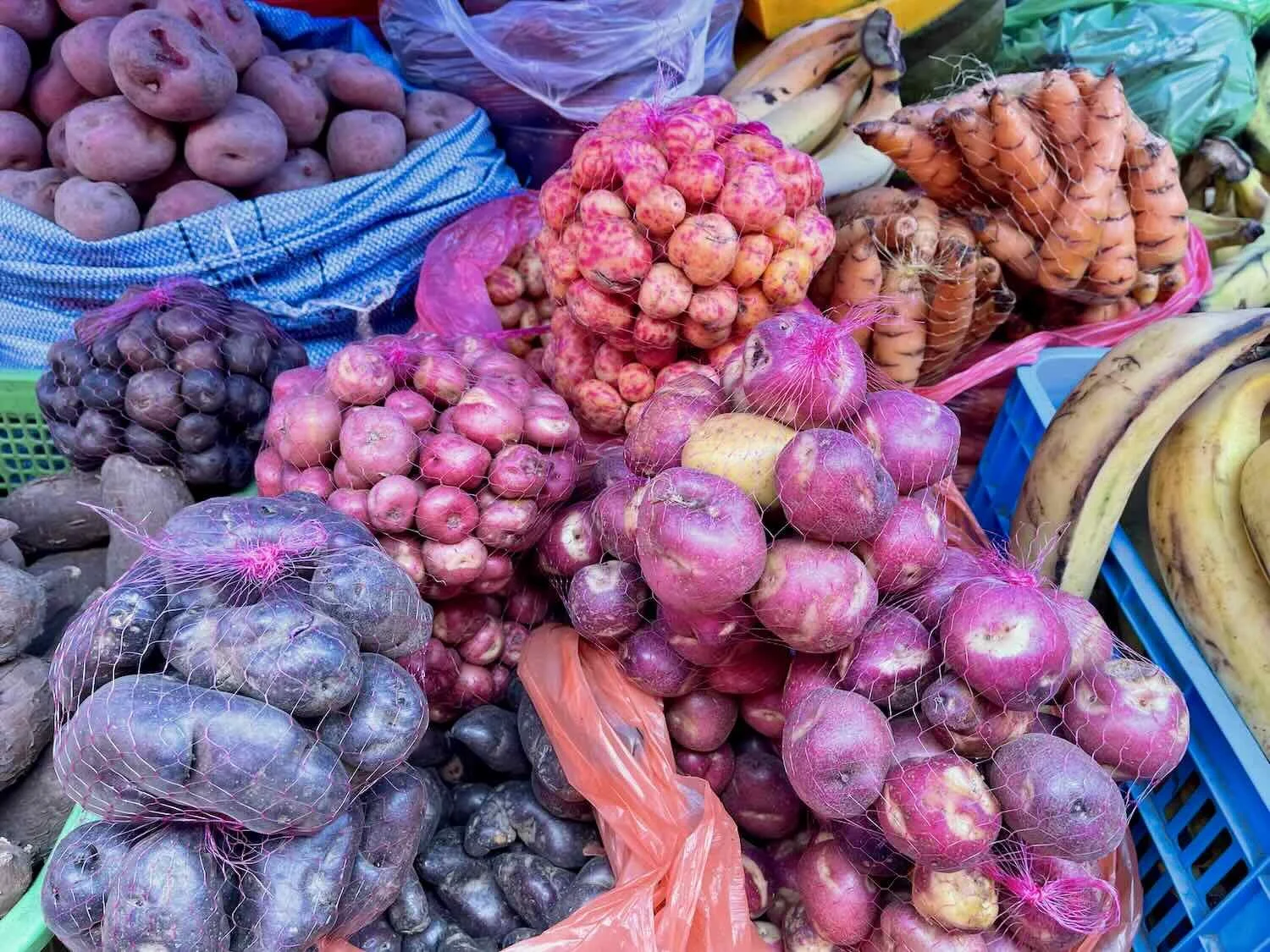 A wide assortment of Andean potatoes for sale in the Mercado Rodríguez.