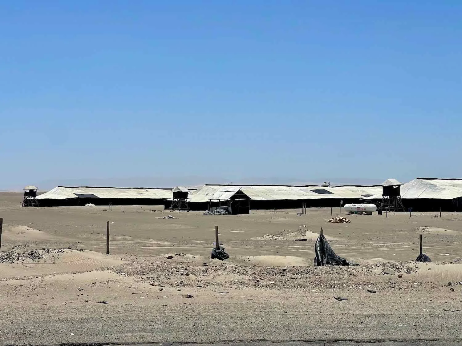 These buildings housed thousands of chickens