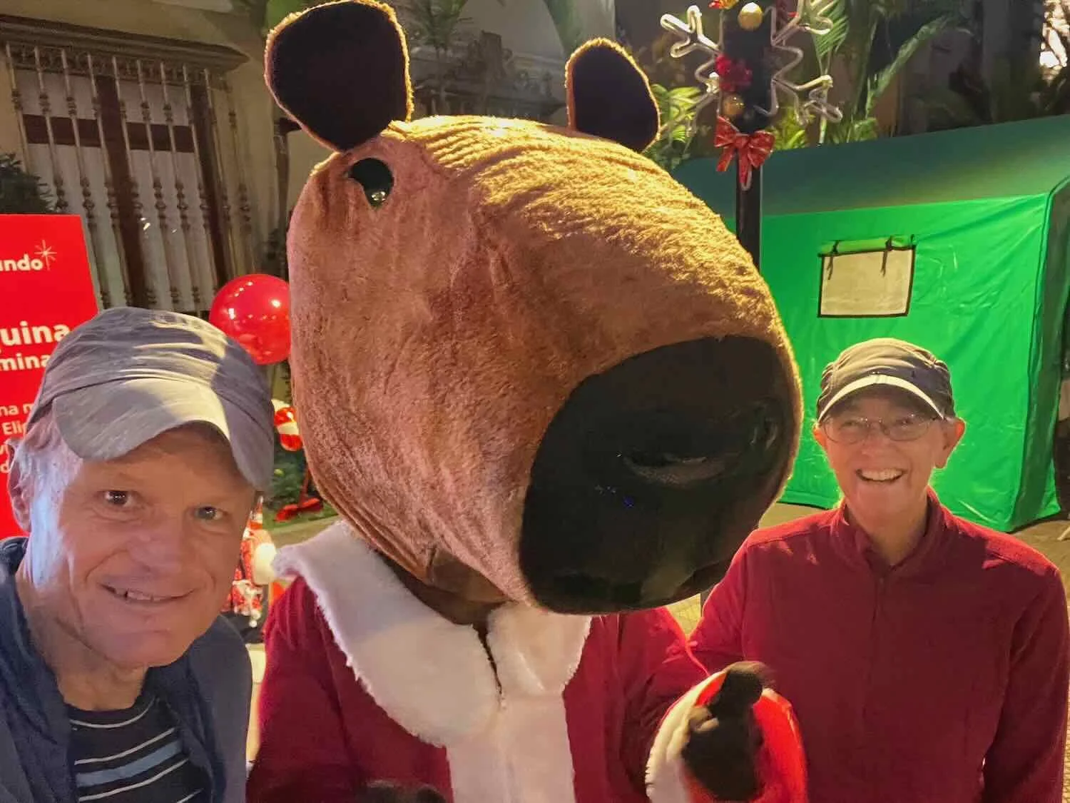 Celebrating with Santa Capybara