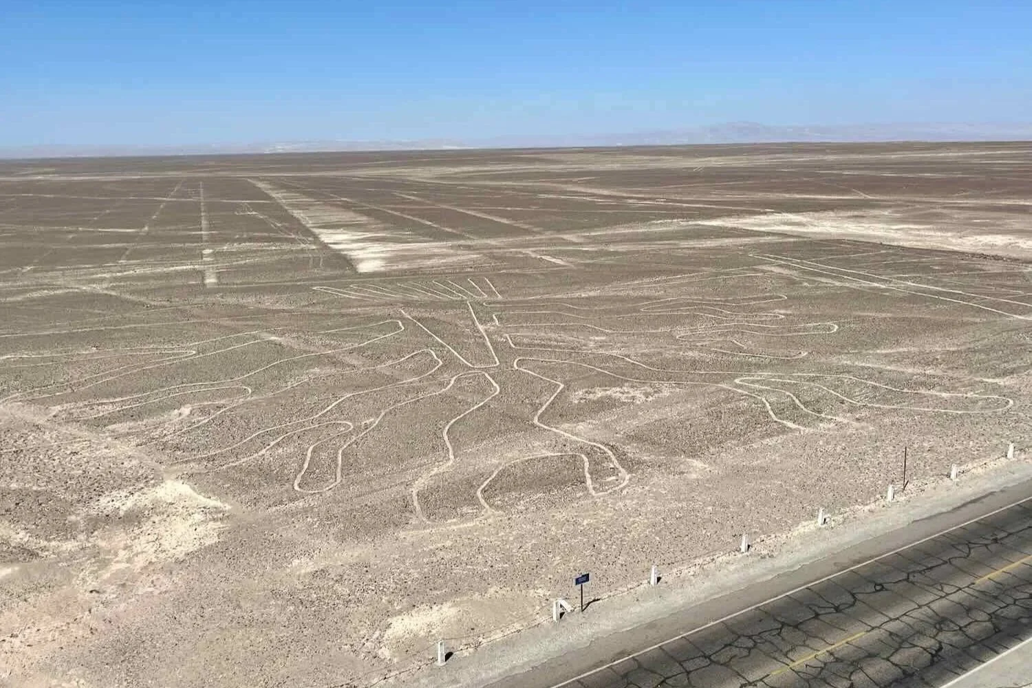 Image of a tree, seen from the overlook. It's upside down (roots are facing away).