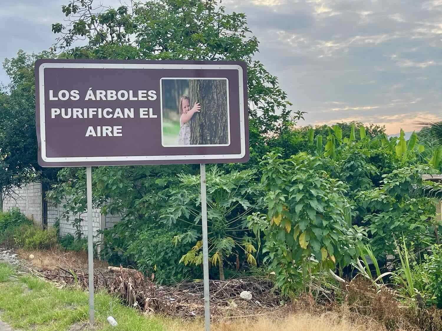 "Trees Purify the Air"