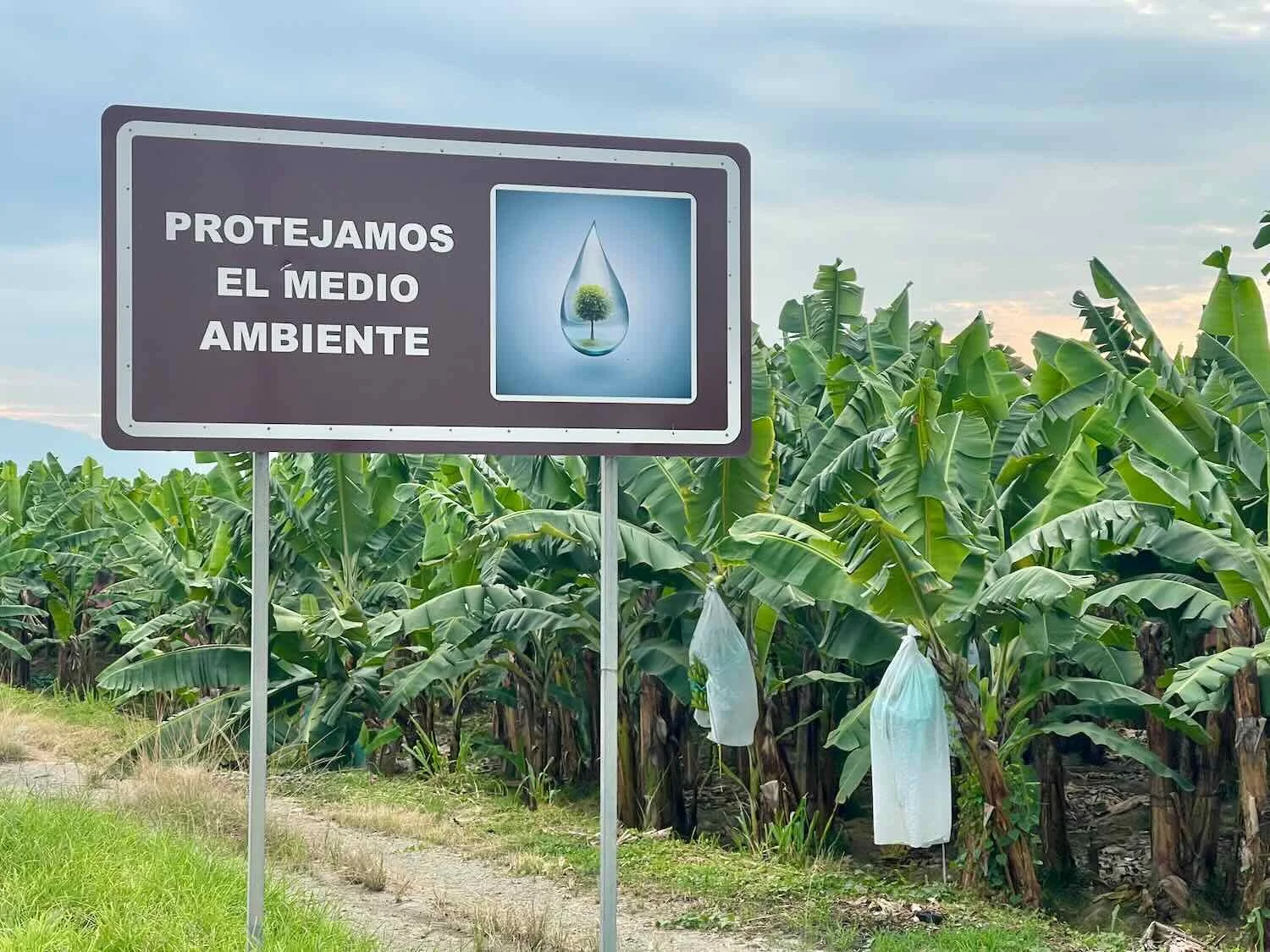 "We Protect the Environment"
