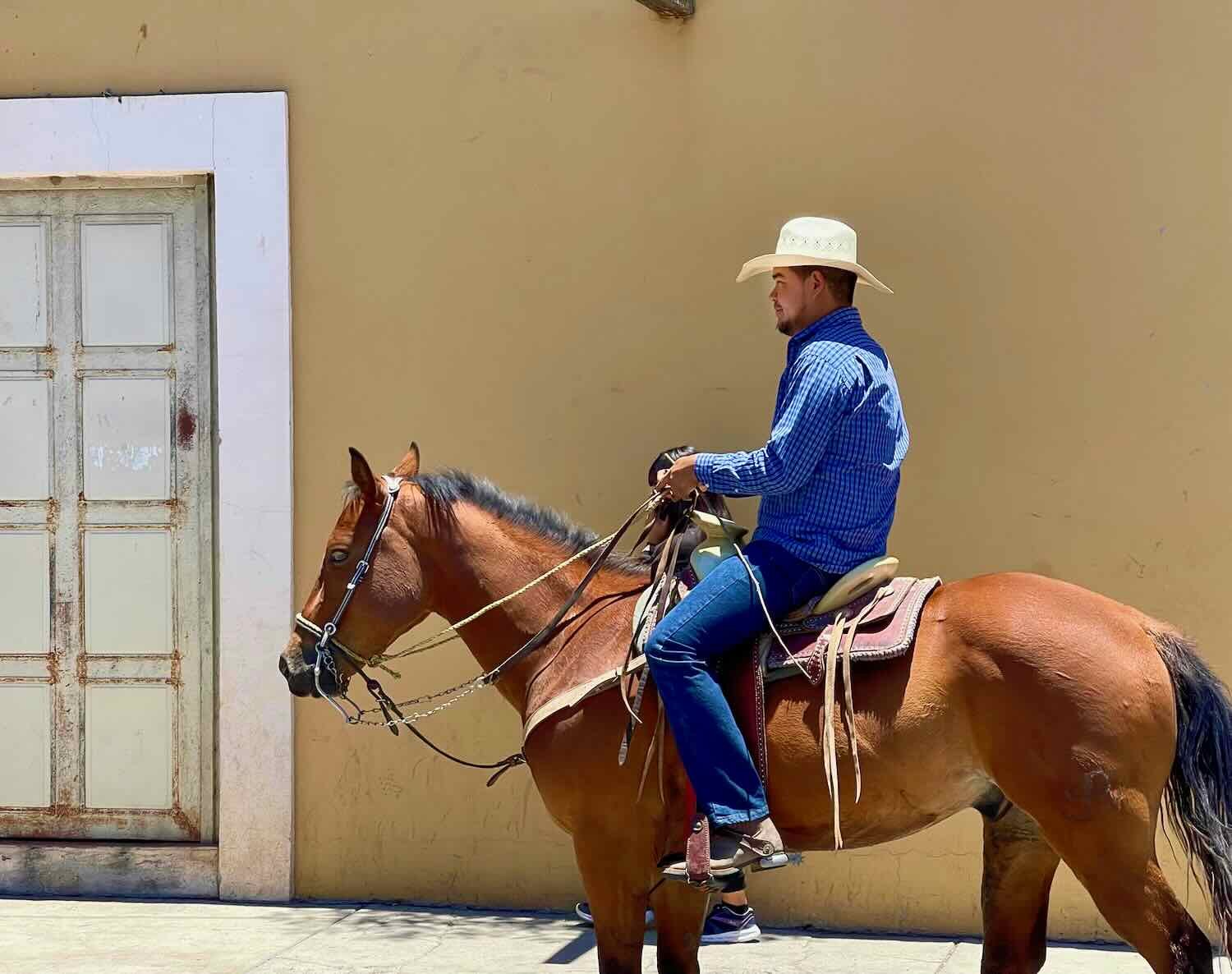 Durango Mexico Patch