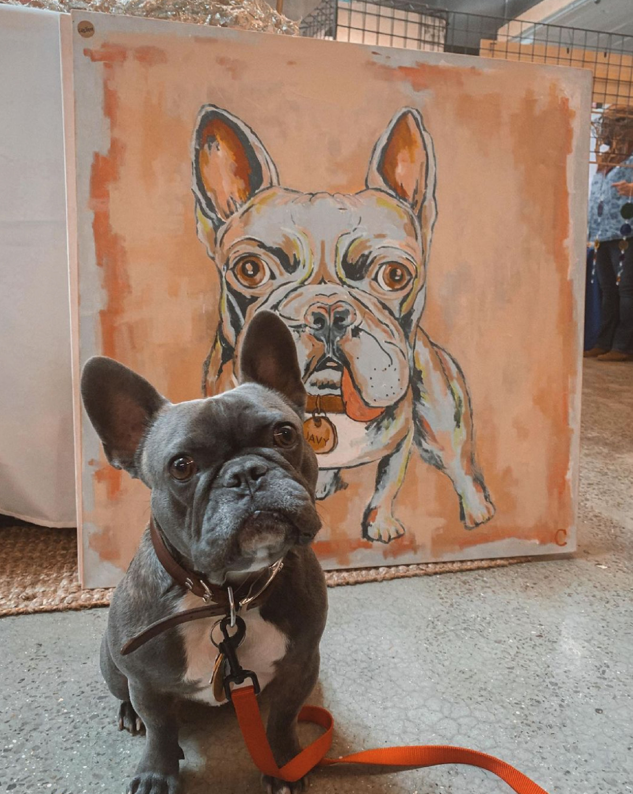 Javier the Frenchie.png