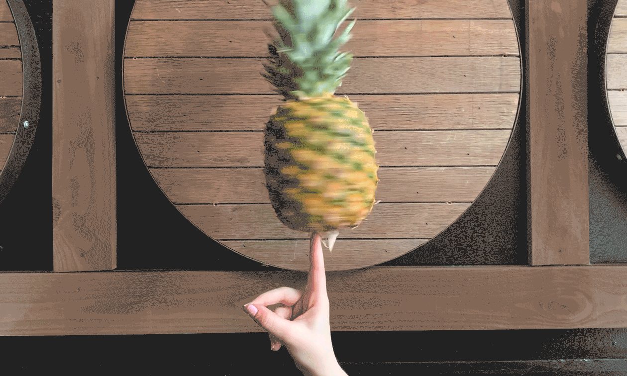 PINEAPPLE_SPIN_2019_FINAL_SM_CROP1.gif