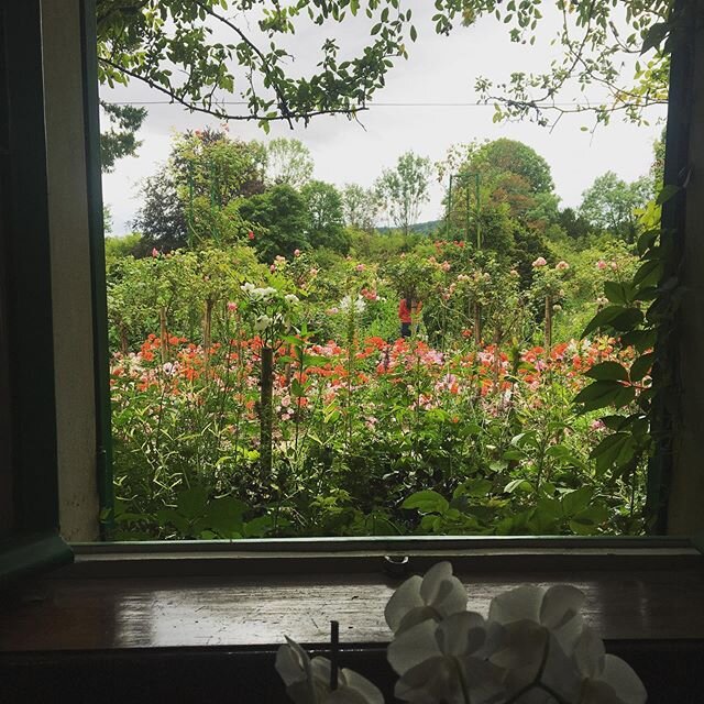 The view outside the window. July 2019. #monetsgarden #giverny #beautiful #paris