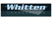 whitten.png