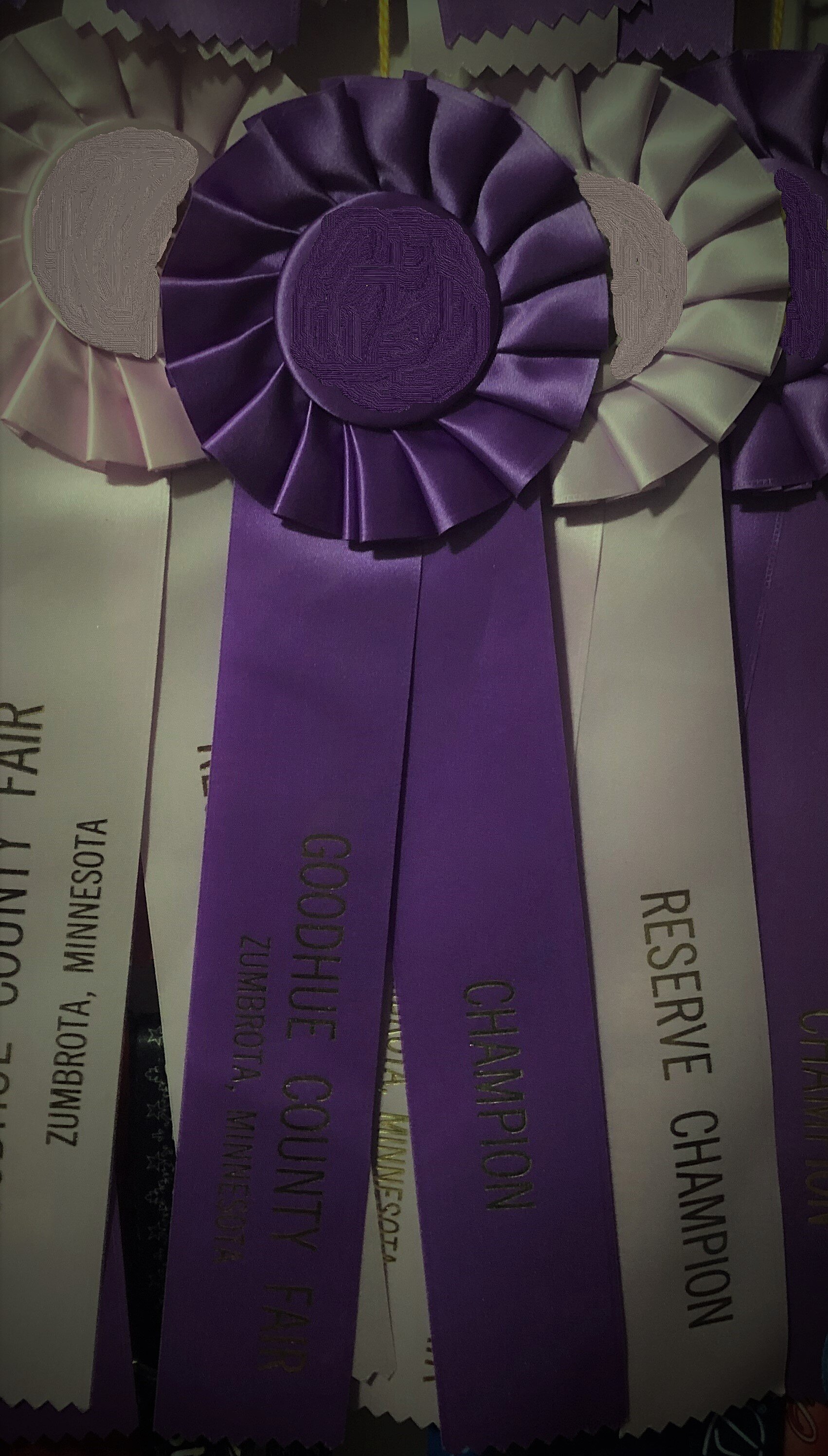 Smaller Ribbon picture - adjusted.jpg