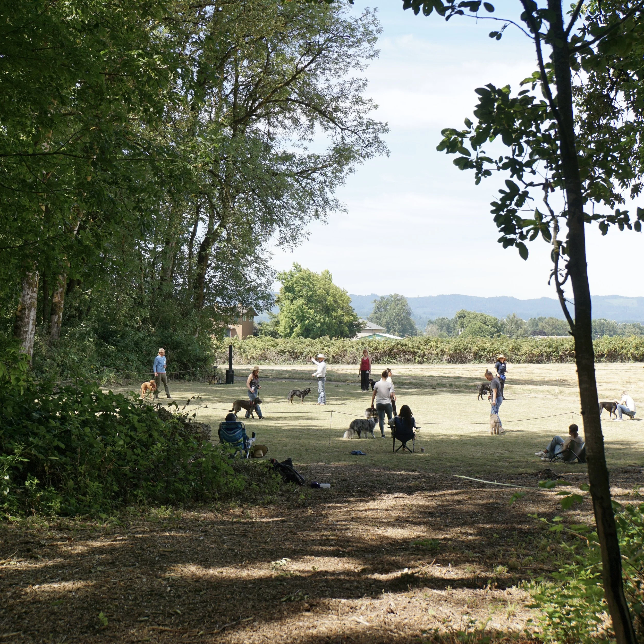 DSC03347.jpg