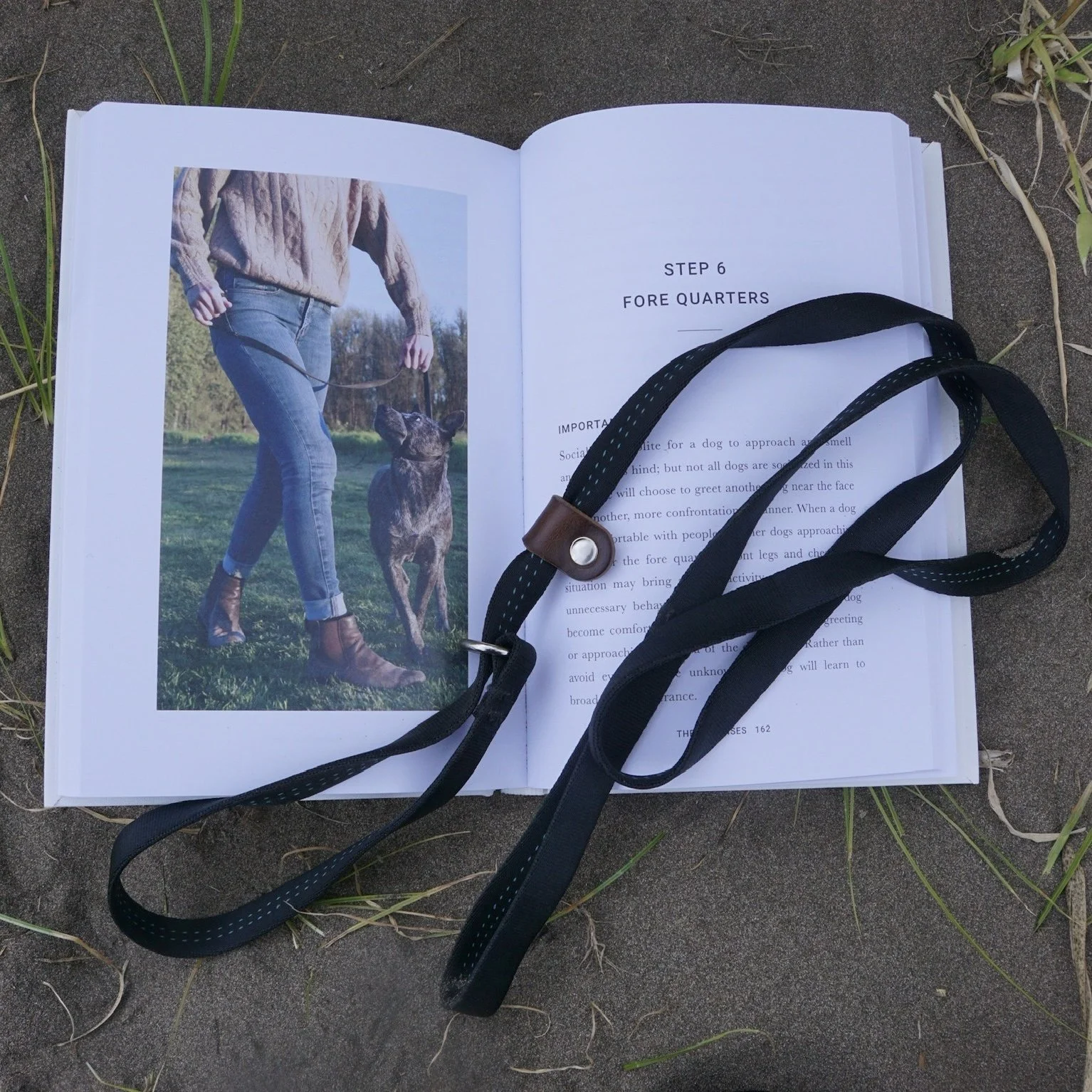 Jentle Method Book + M/L Lead + Shipping