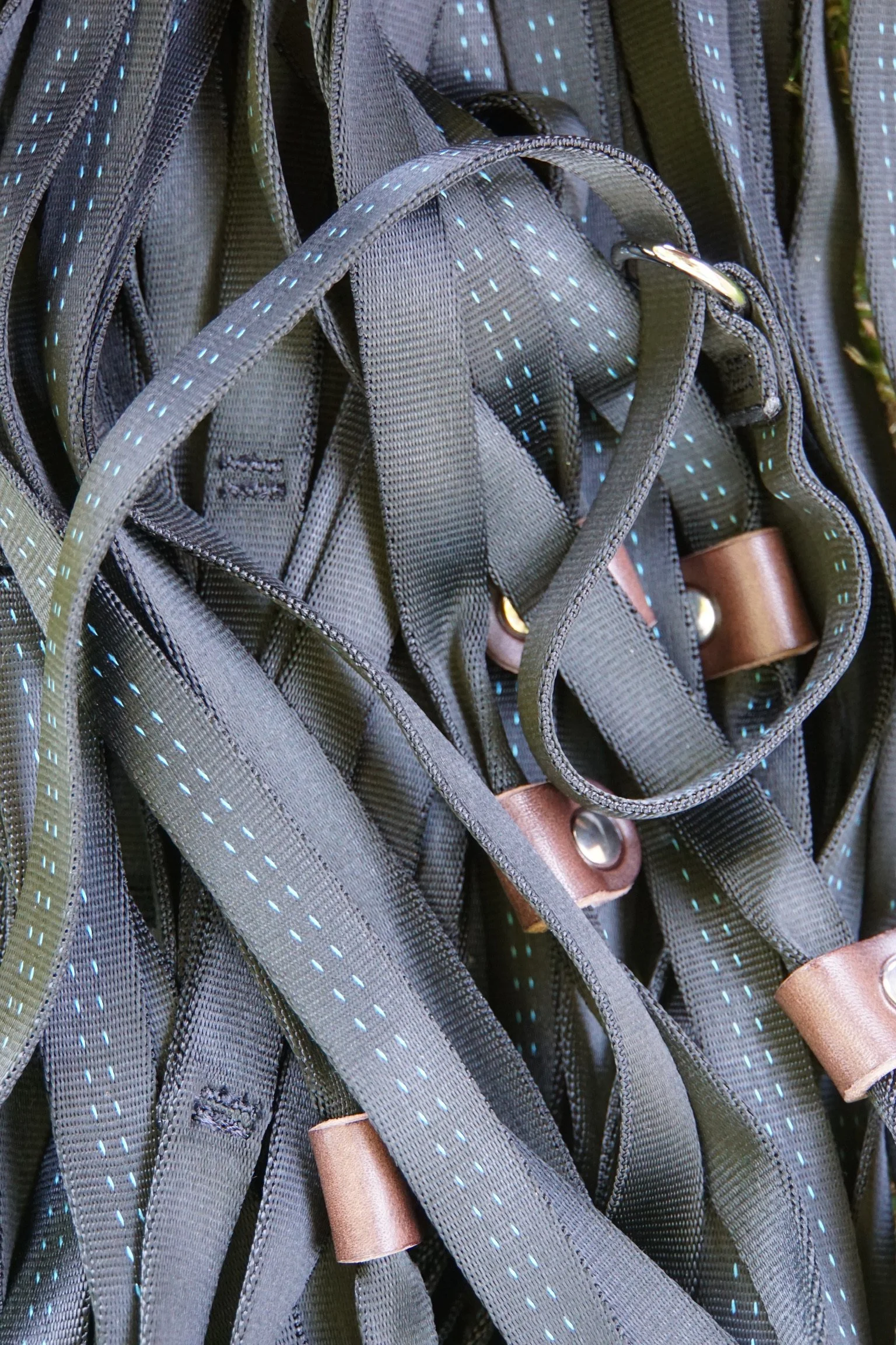 Althea Canines (15 M/L Leads + Shipping)