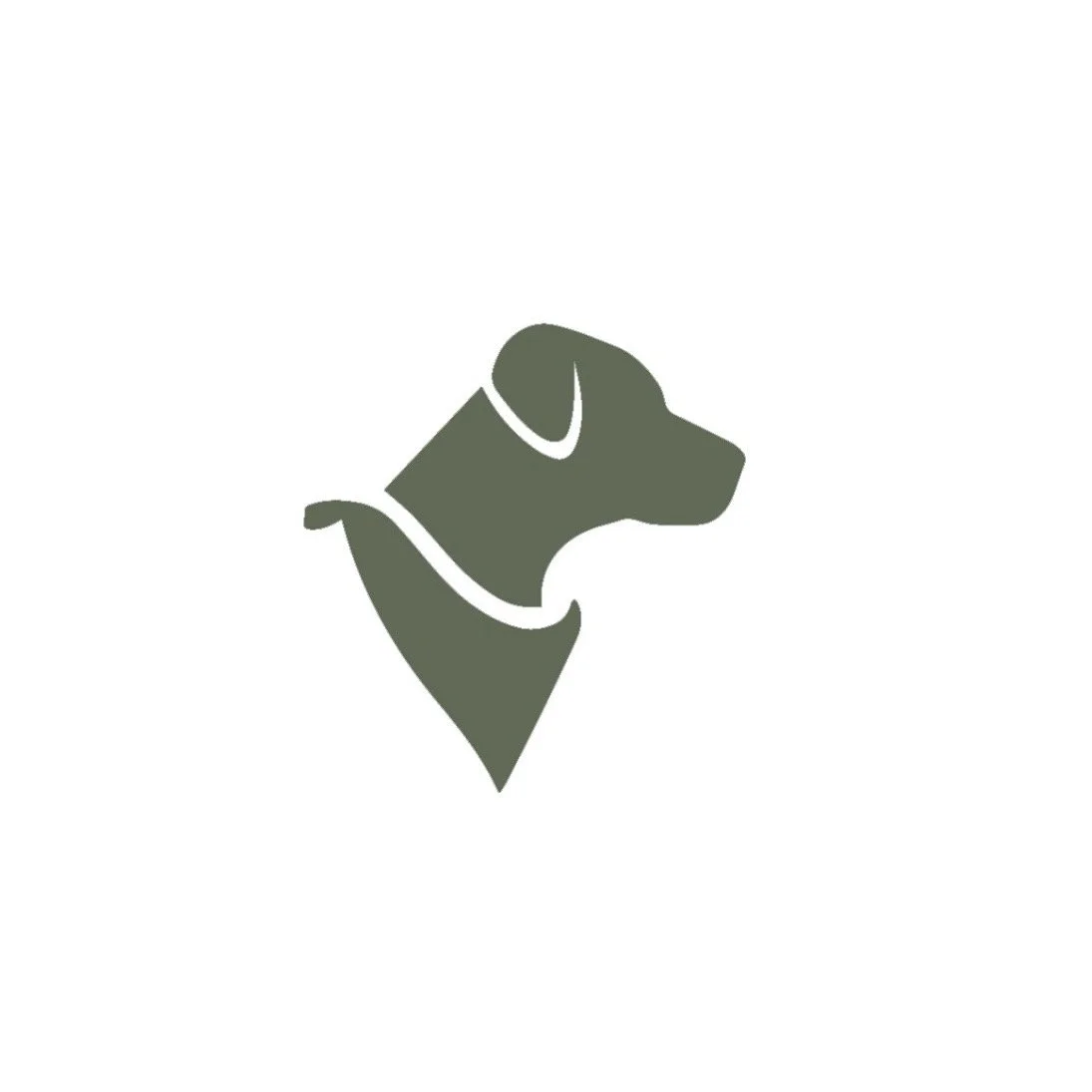IMG_7439.jpg