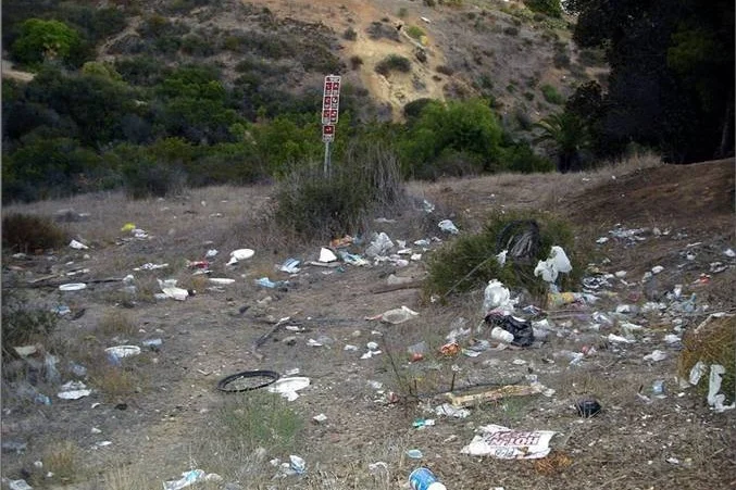 BEFORE: Swan Canyon in City Heights in 2007 filled with trash and invasive plants. This is directly adjacent to Hamilton Elementary School.
