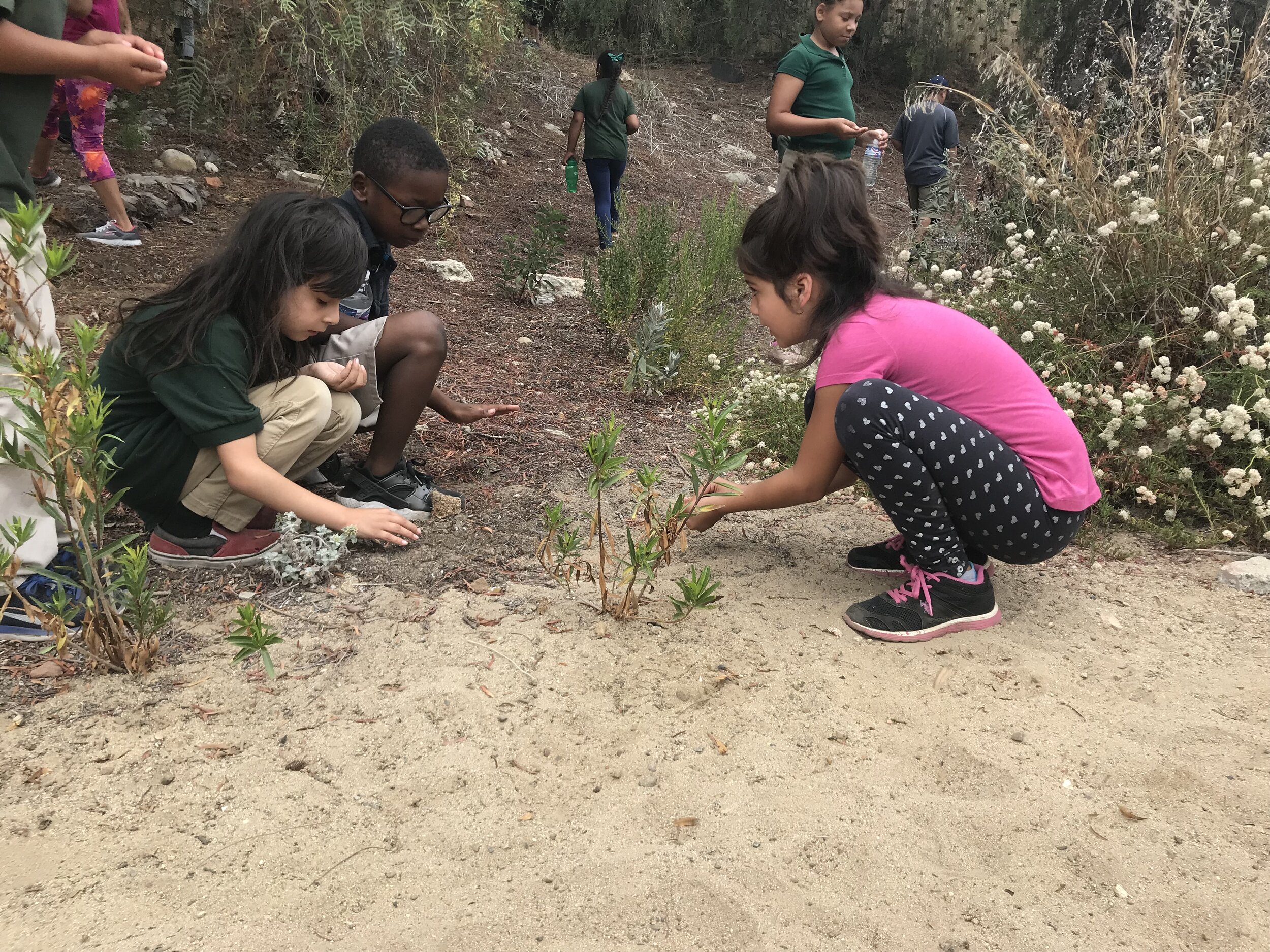 youths identify plants