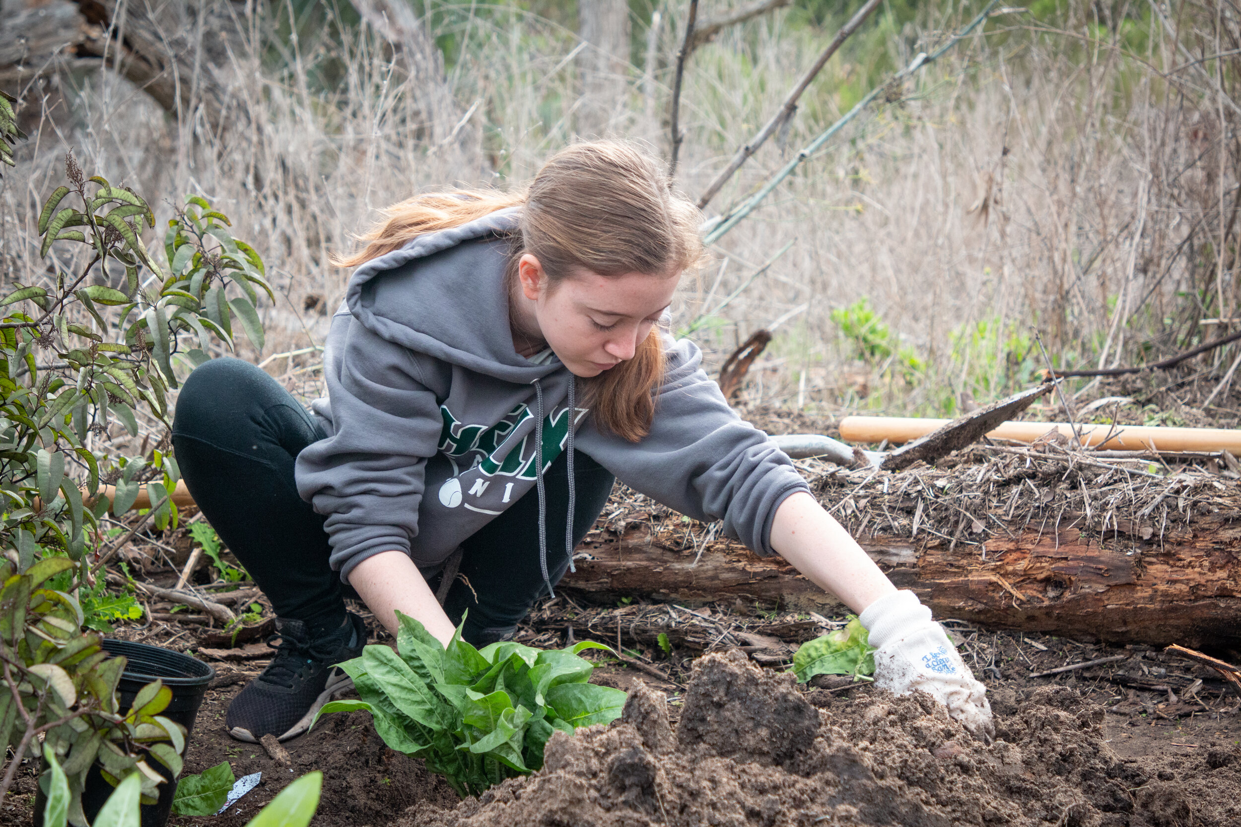 youth volunteer weeds