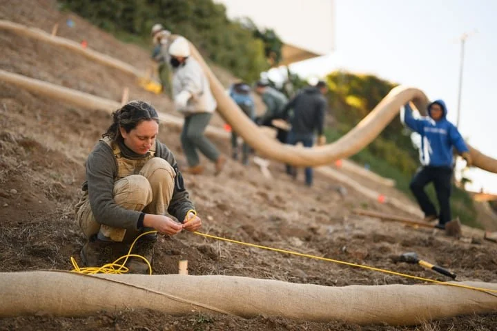Installing wattles on the hillside (Copy)