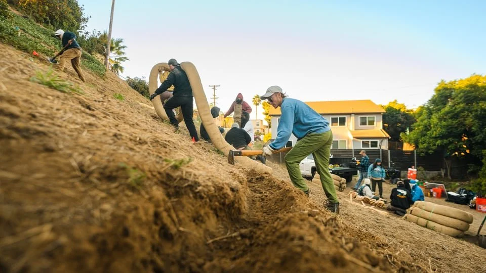 Digging trenches for wattles (Copy)