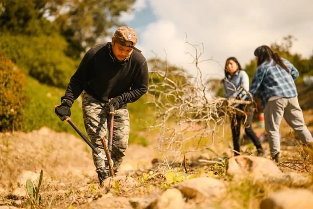 Lopping plant material (Copy)