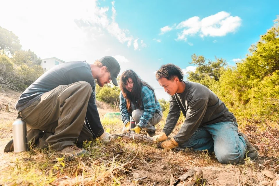 Working together in Mission Hills (Copy)