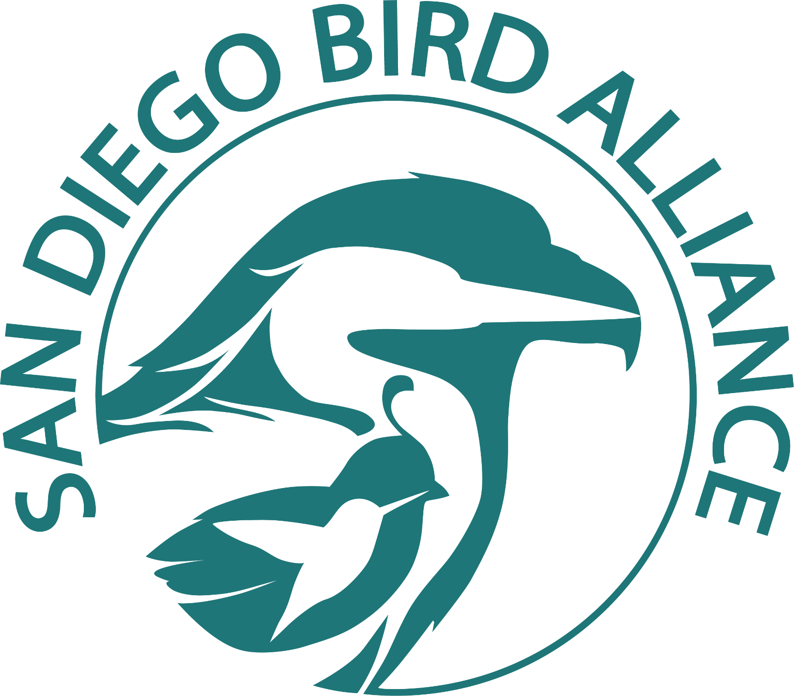 SDBA Round Logo Teal.png