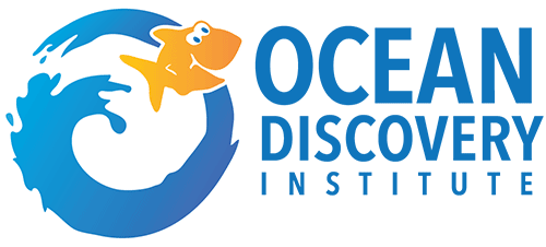 odi_logo.webp