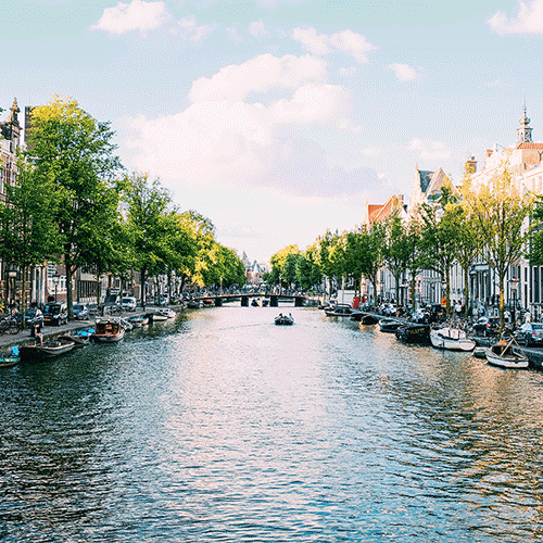 amsterdam2.gif
