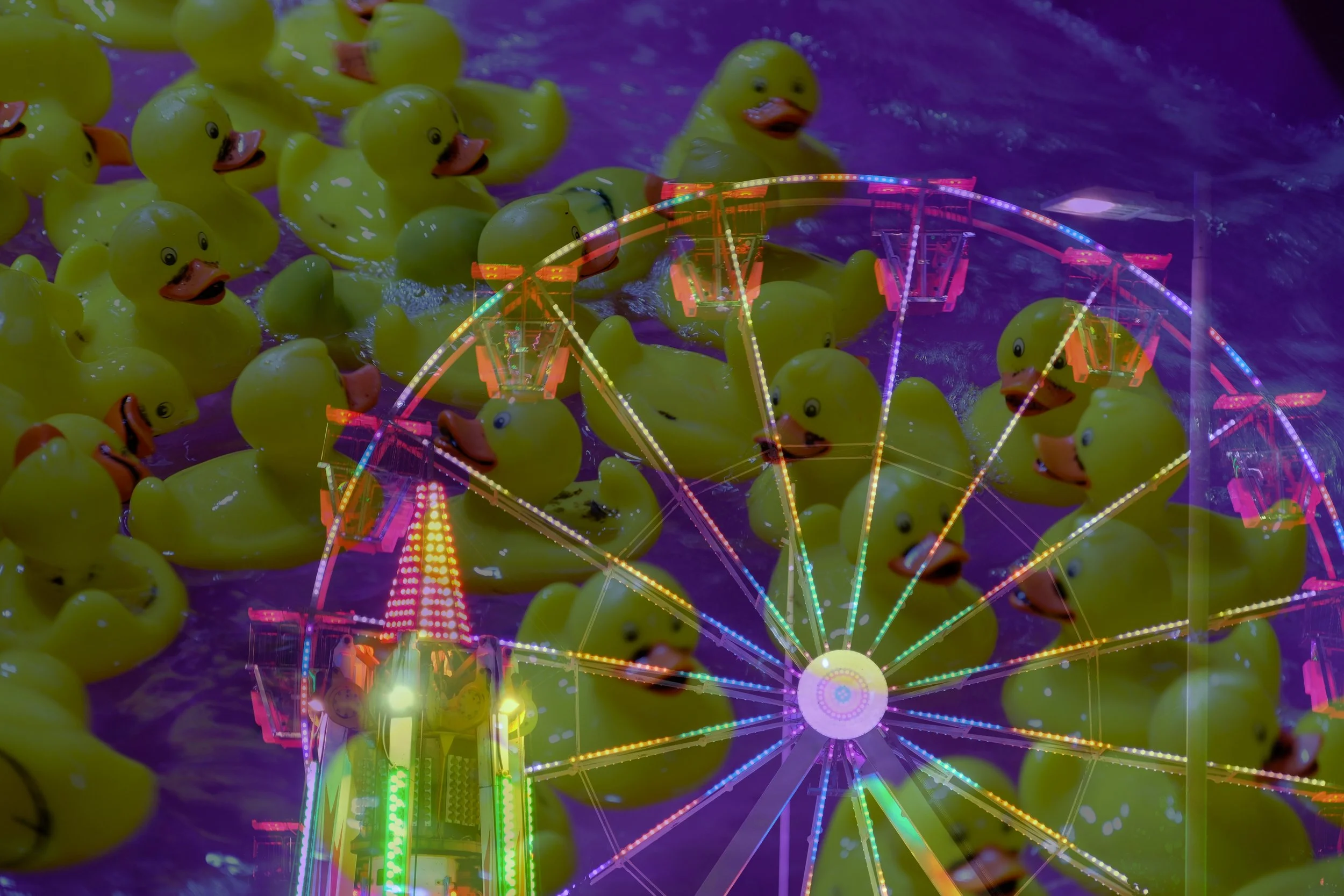 DSCF4575.JPG