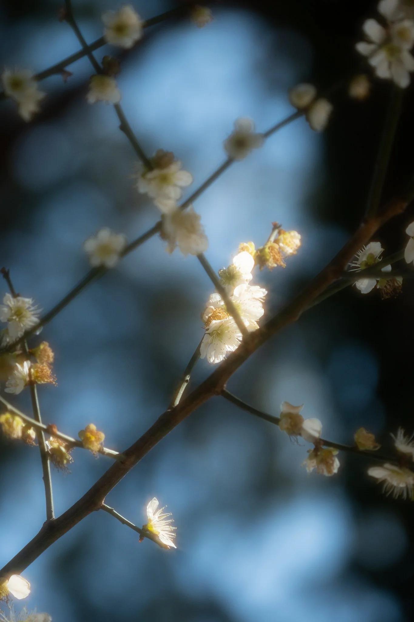 IMG_7886.jpeg