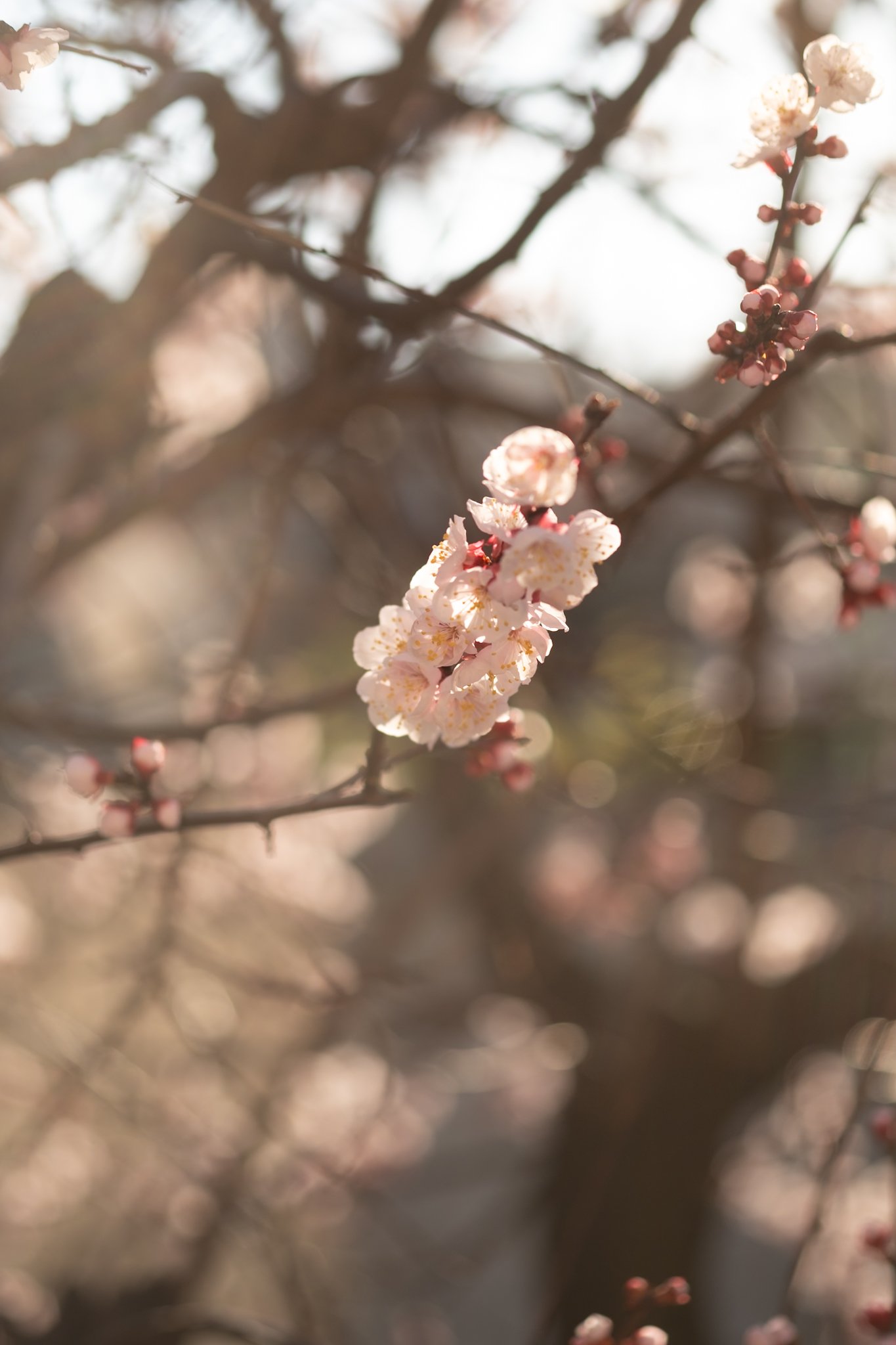 IMG_7896.jpeg