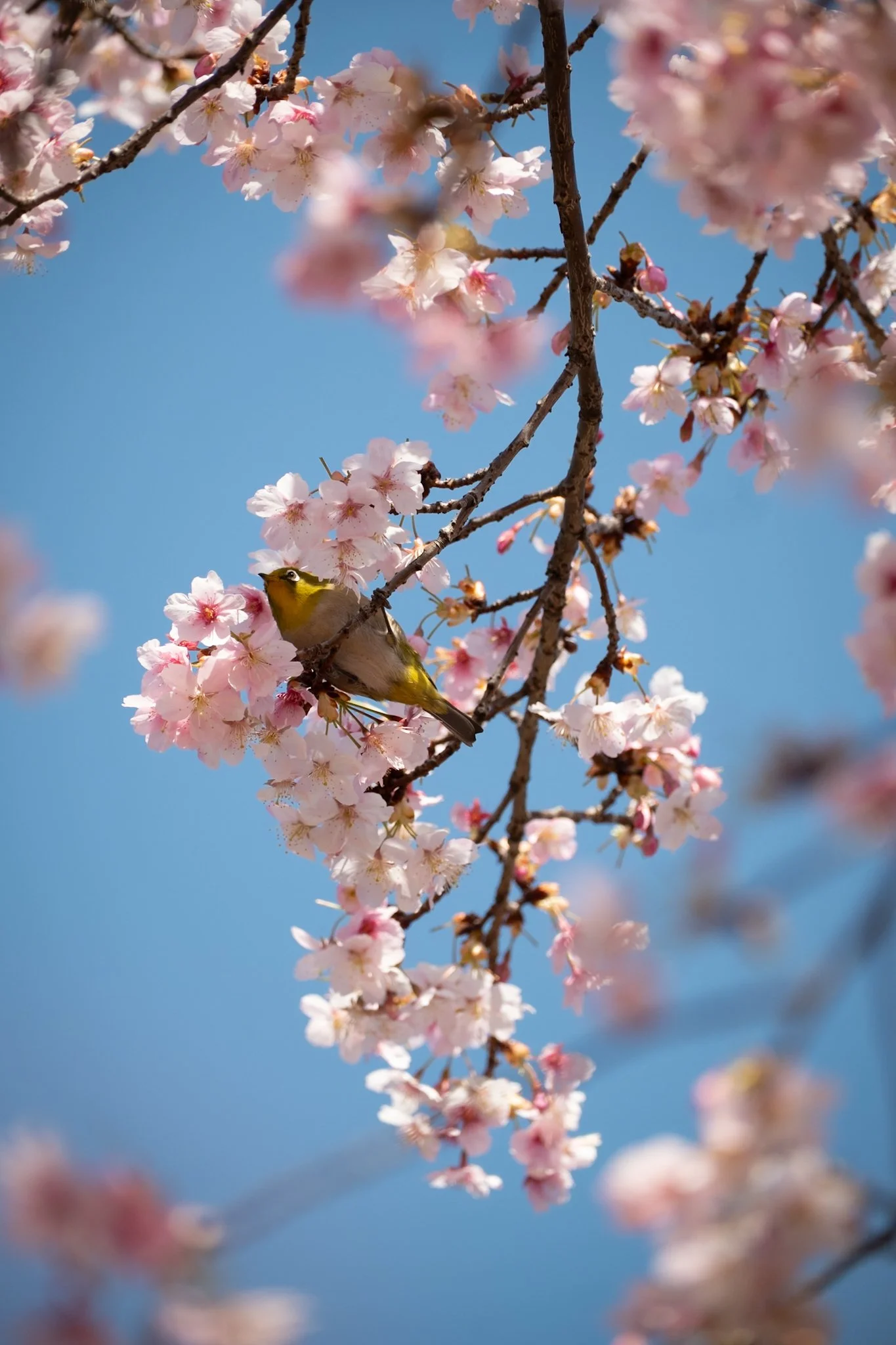IMG_7901.jpeg