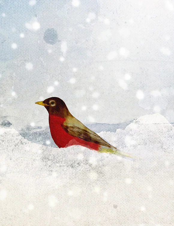marie-rupolo-graphic-design-toronto_8804.jpg