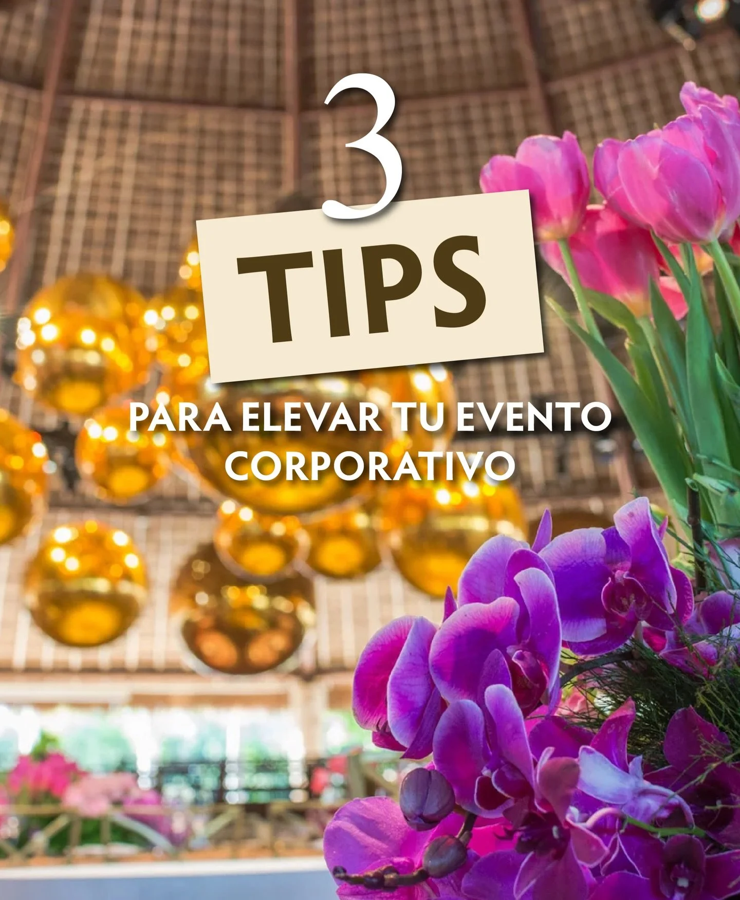 🚀 Elevar un evento corporativo va m&aacute;s all&aacute; de elegir un lugar bonito.

El concepto, la experiencia y el espacio correcto pueden transformar por completo el resultado.

👉 Si est&aacute;s planeando un evento en la Riviera Maya, agenda t