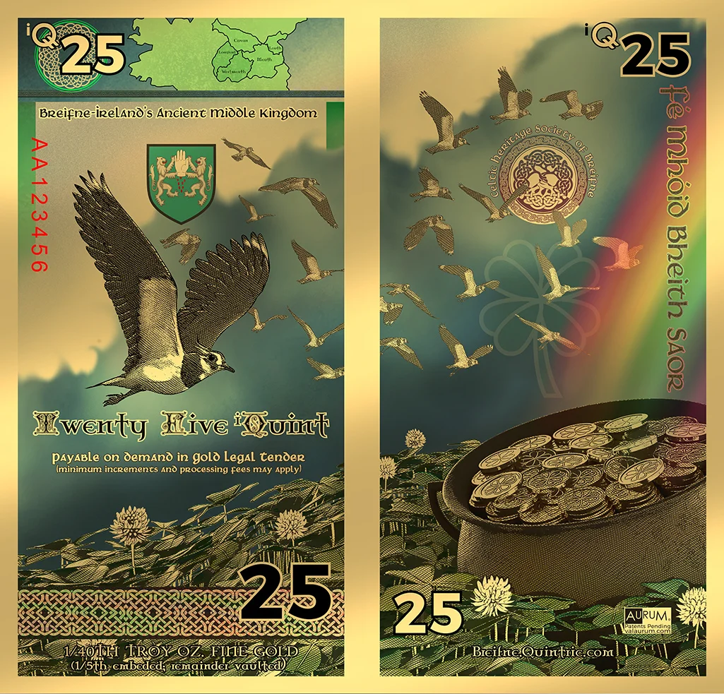 Mockup_breifne_bill_25_what_it should_look_like.jpg