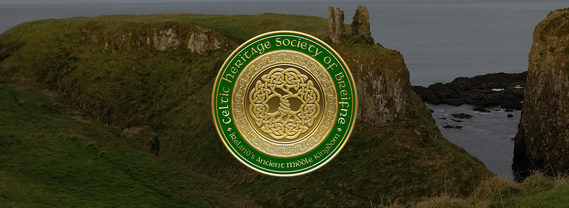 Breifne Banner 4.jpg