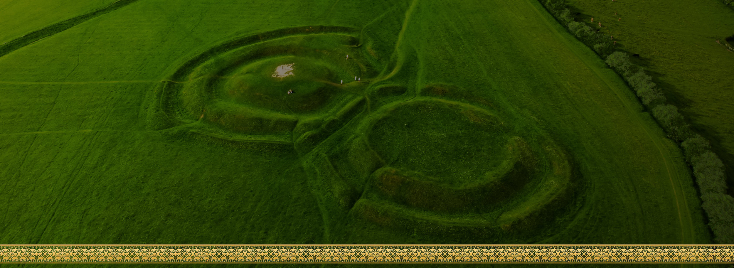 Tara Hill Licensed.jpg