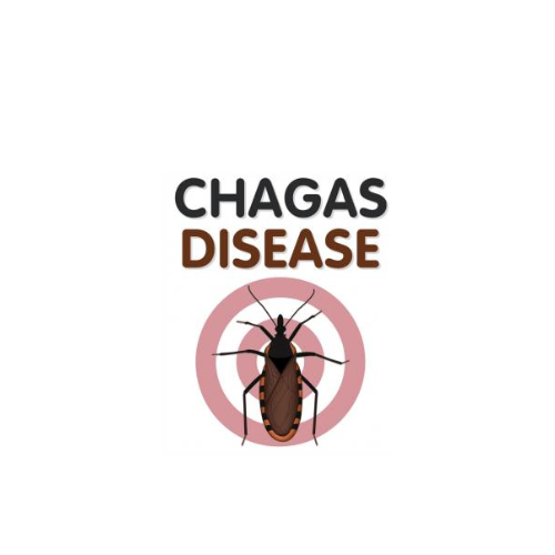 Webinar: Trypanosoma cruzi, the parasite responsible for Chagas disease. 