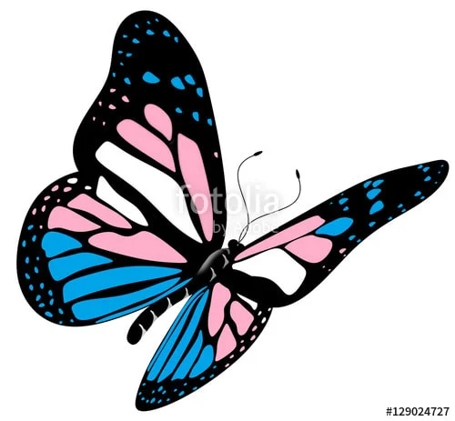 butterly.jpg